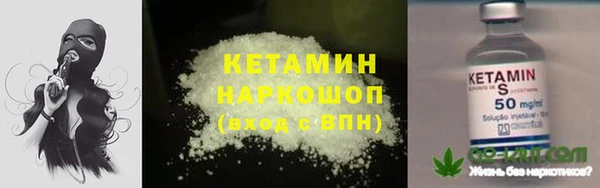 шишки Бородино