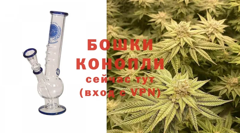 Канабис THC 21%  Малаховка 